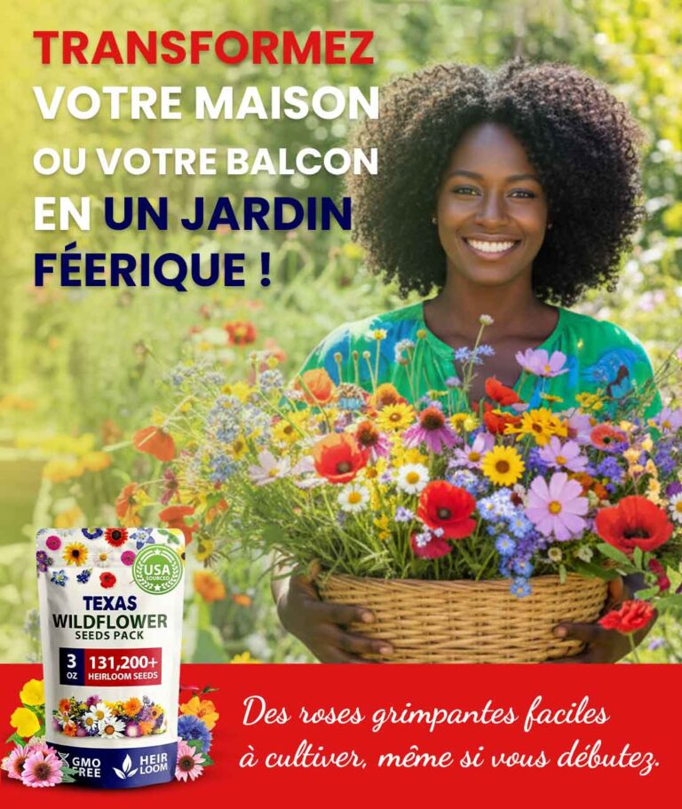 + de 131.000 Graines de Roses Grimpantes Élégantes : Un Jardin Magique !